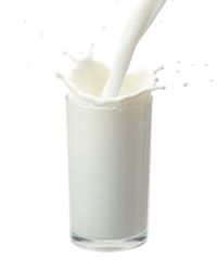 milk